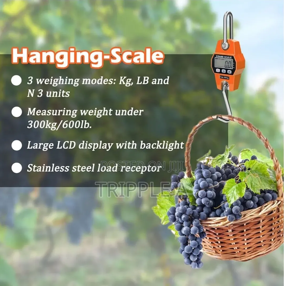 300kg Hanging Weight Scale