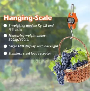 300kg Hanging Weight Scale