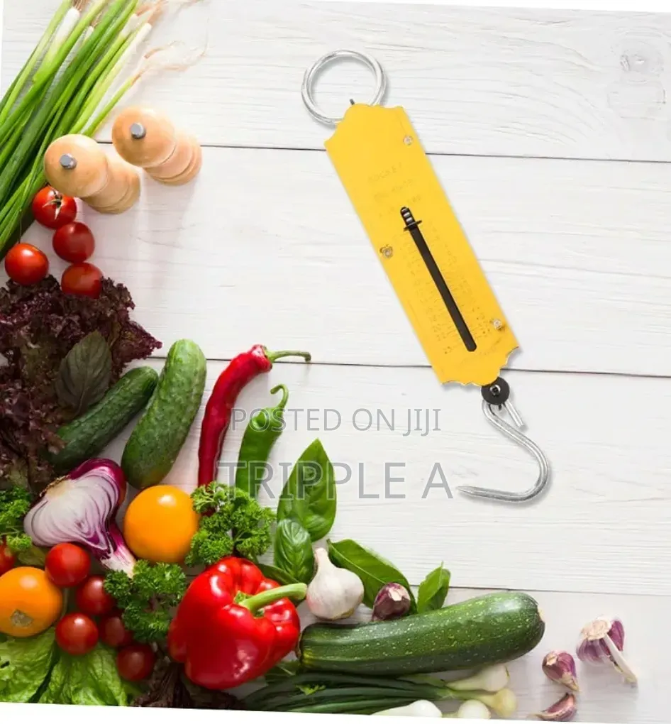 25kg Pocket Spring Balance Weighing Scale