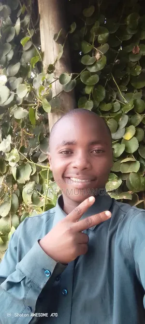 Am Looking for the Job