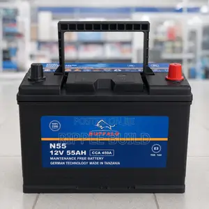 N55 55Ah Buffalo Maintainence Free Car Battery 450CCA 12V