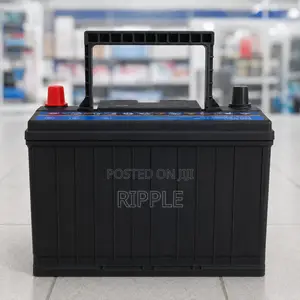 N55 55Ah Buffalo Maintainence Free Car Battery 450CCA 12V