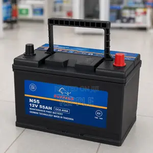 N55 55Ah Buffalo Maintainence Free Car Battery 450CCA 12V
