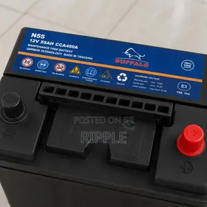 N55 55Ah Buffalo Maintainence Free Car Battery 450CCA 12V