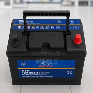 N55 55Ah Buffalo Maintainence Free Car Battery 450CCA 12V