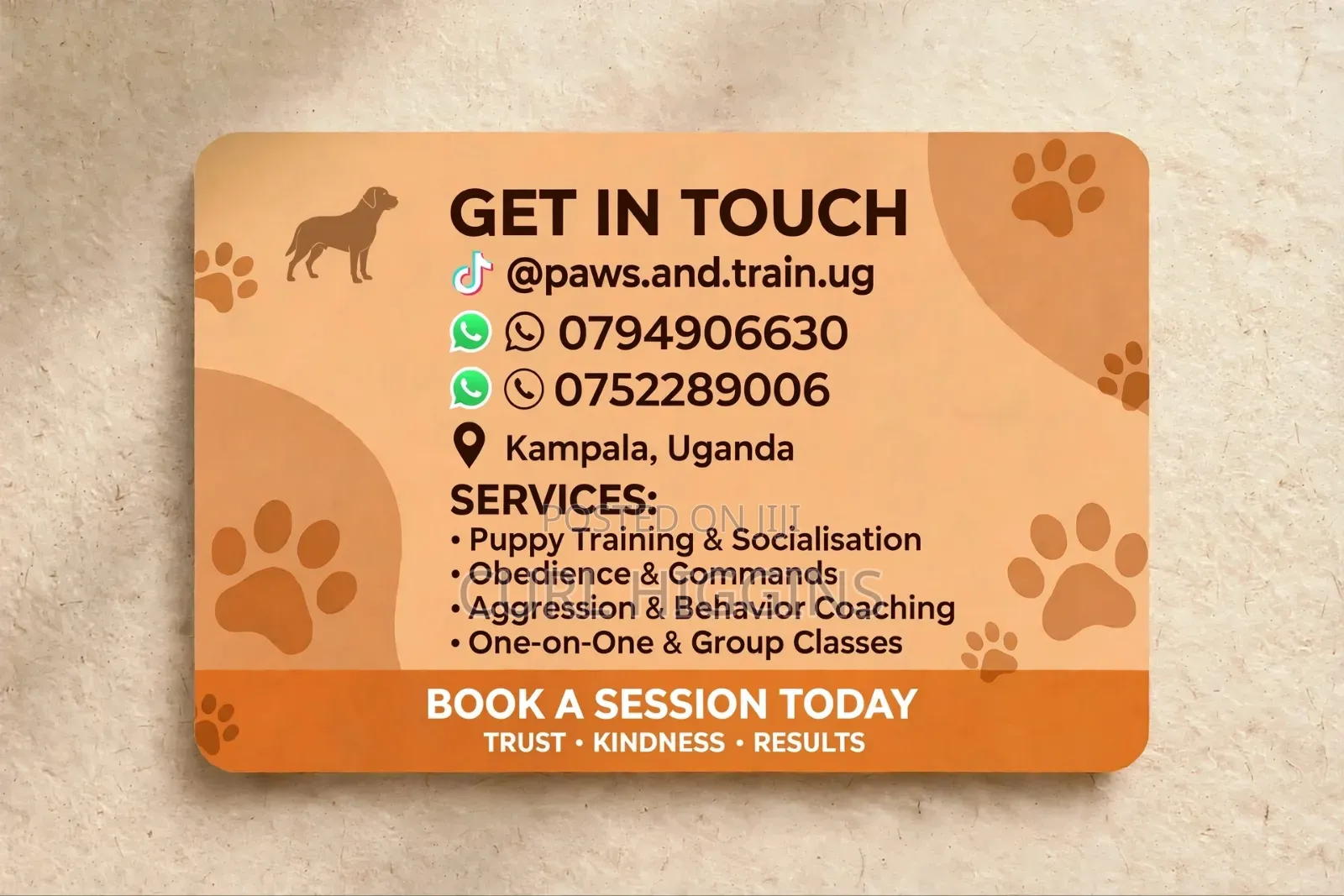Dog Training