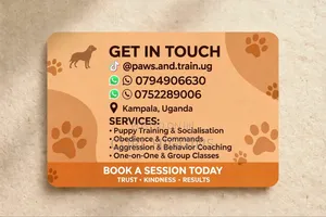 Dog Training