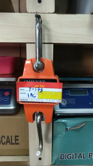 300Kg Digital Crane Weighing Scale - Multicolor