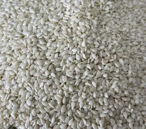 Sesame Seeds-Unroasted-1kg