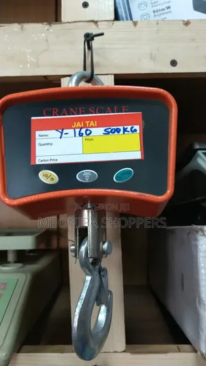 500kg/1100lb High Accuracy Crane Scale