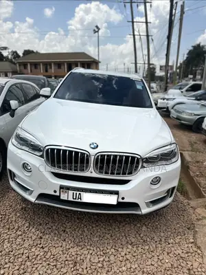 BMW X5 SV Premium 2013 White