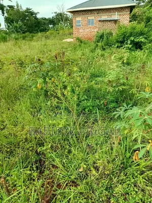 20x40ft Land on Quick Sale