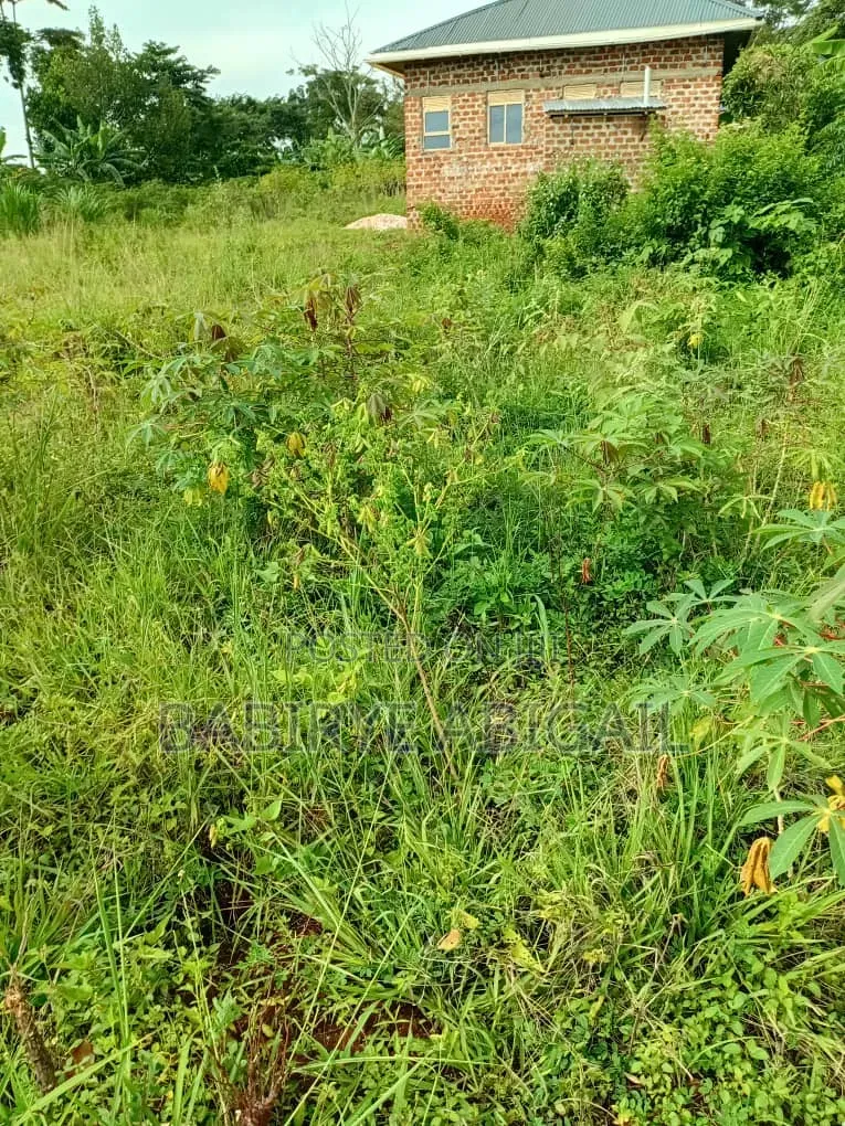 20x40ft Land on Quick Sale