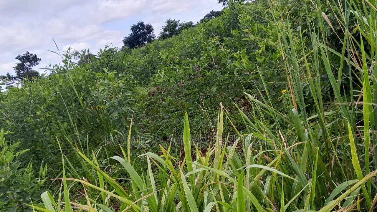 4000 Acres for Sale in Lamwo