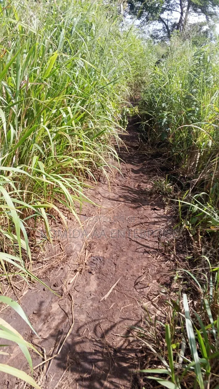 4000 Acres for Sale in Lamwo