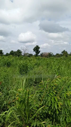 4000 Acres for Sale in Lamwo