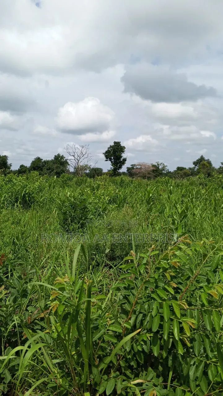 4000 Acres for Sale in Lamwo