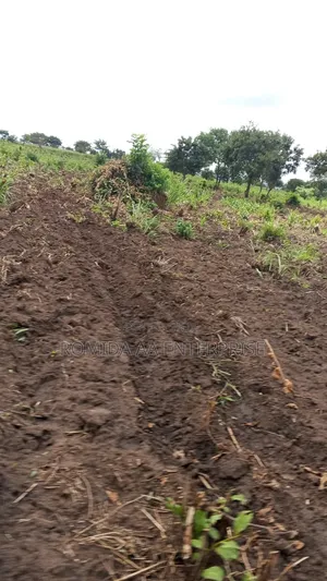 4000 Acres for Sale in Lamwo