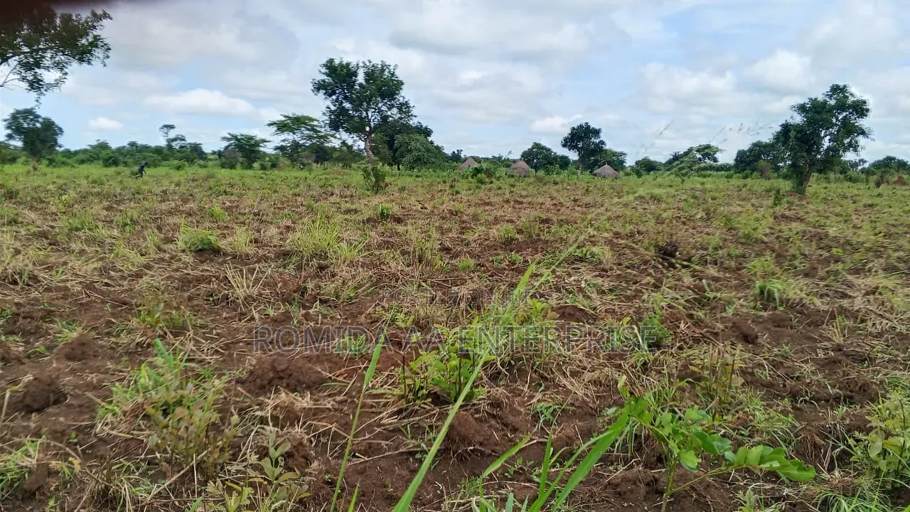 4000 Acres for Sale in Lamwo