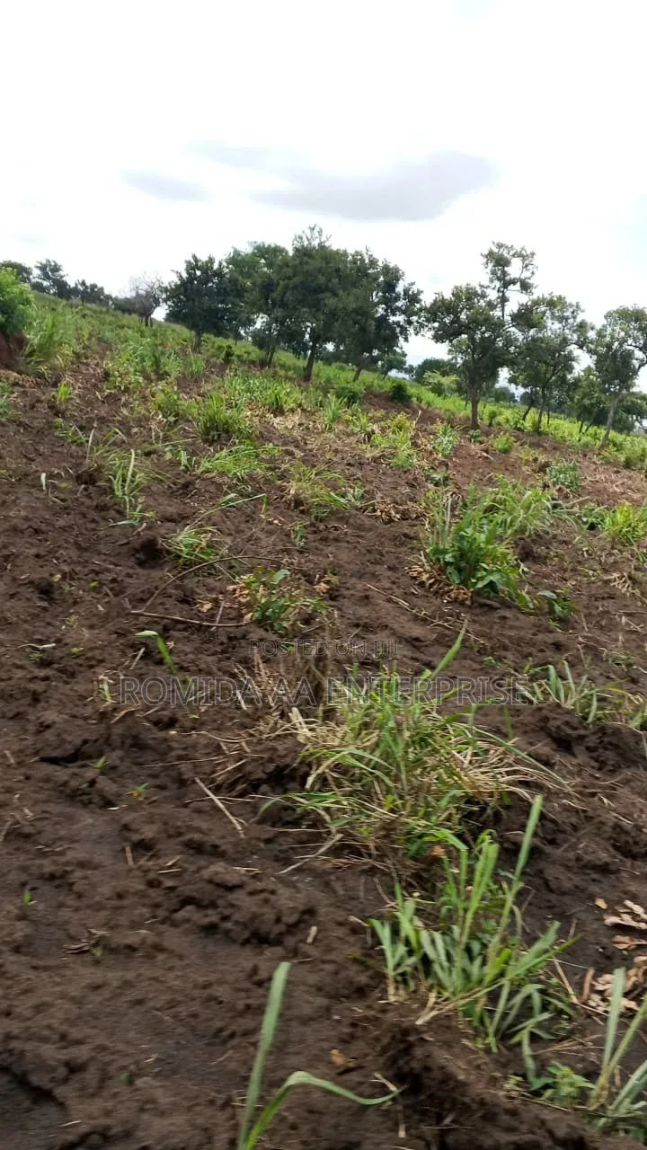 4000 Acres for Sale in Lamwo