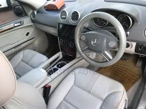 Mercedes-Benz M Class 2010 Gray
