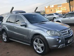 Mercedes-Benz M Class 2010 Gray