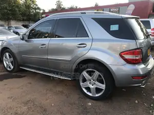 Mercedes-Benz M Class 2010 Gray