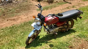 New Bajaj Boxer 100 2024 Red