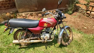 New Bajaj Boxer 100 2024 Red