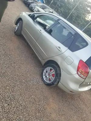 Toyota Corolla Spacio 2005 Gray