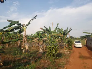 Plot for Sell Gayaza Nakasajja