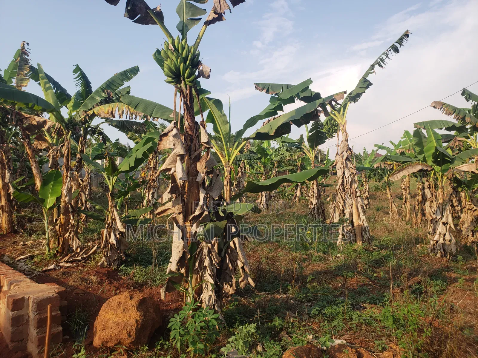 Plot for Sell Gayaza Nakasajja