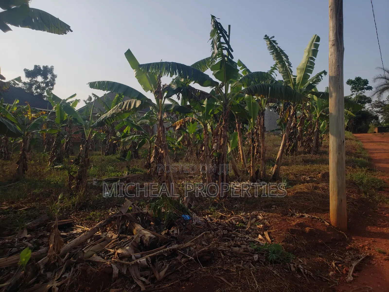 Plot for Sell Gayaza Nakasajja