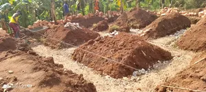 Plot of Land