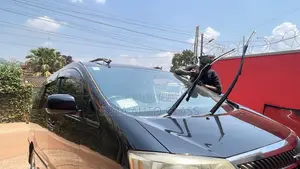 Windscreen Big Cars