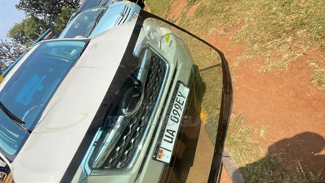 Windscreen High Visibility