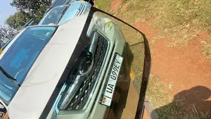 Windscreen High Visibility