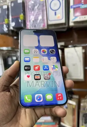 Apple iPhone 15 Pro Max 256 GB Gray