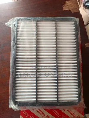 Air Cleaner Landcruiser Prado.