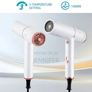 Winning Star ST-5738 Foldable Hair Dryer