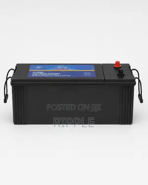 120Ah Buffalo N120 Maintenance Free Car Battery 12V