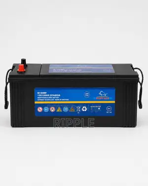 120Ah Buffalo N120 Maintenance Free Car Battery 12V