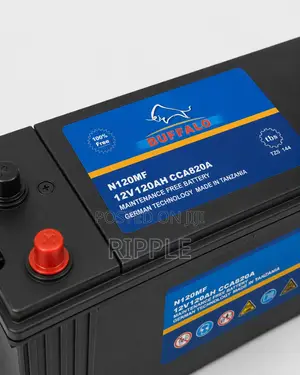 120Ah Buffalo N120 Maintenance Free Car Battery 12V