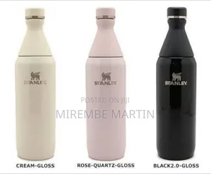 Sleek Stainless Steel All Day Slim Bottle