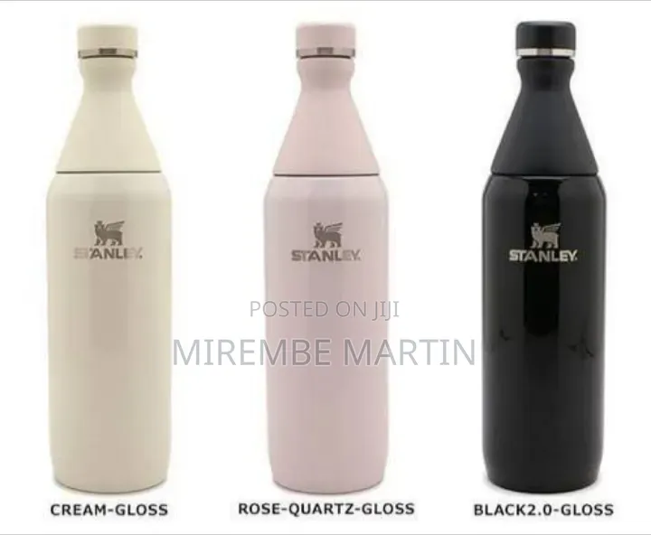 Sleek Stainless Steel All Day Slim Bottle