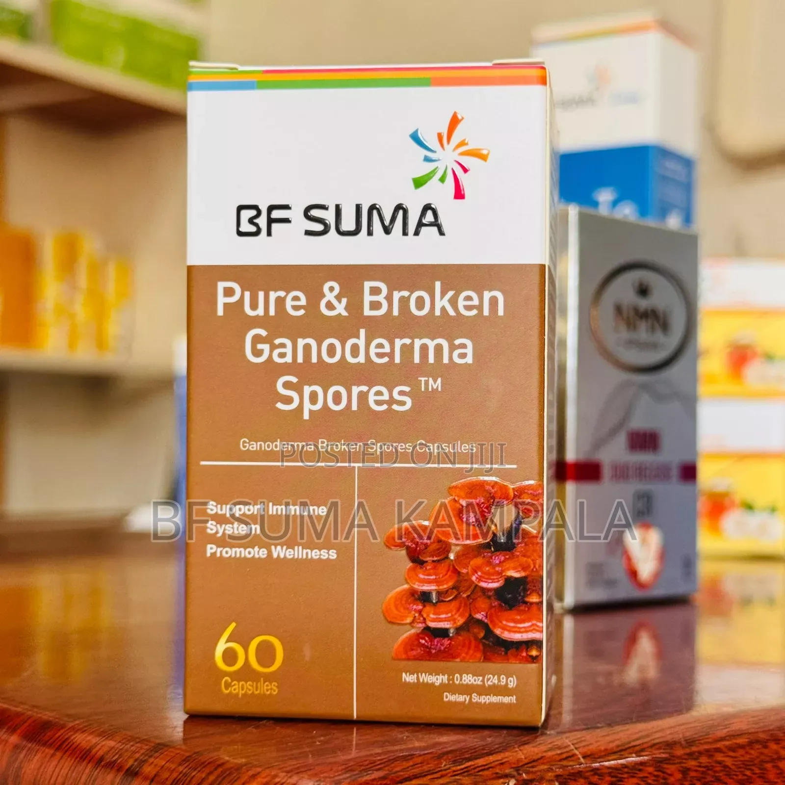 Pure and Broken Ganoderma Spores Capsule