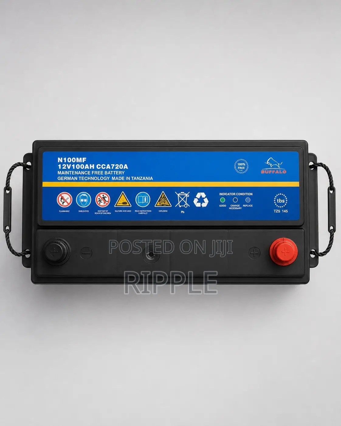 100Ah Buffalo N100 720CCA Maintenance Free Car Battery 12V