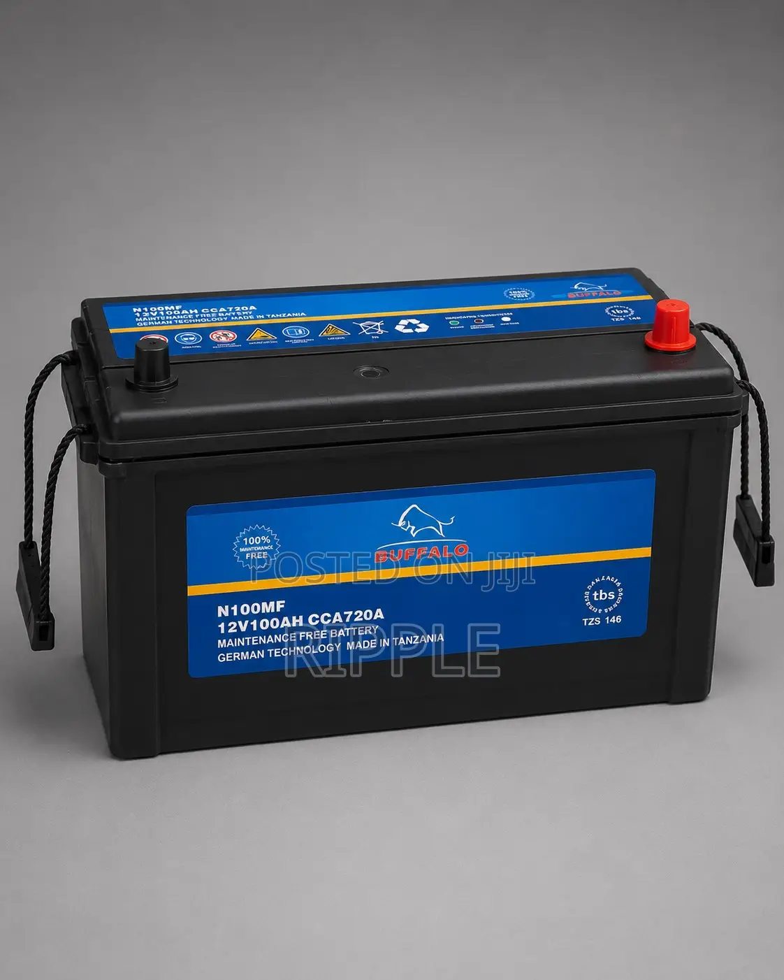 100Ah Buffalo N100 720CCA Maintenance Free Car Battery 12V