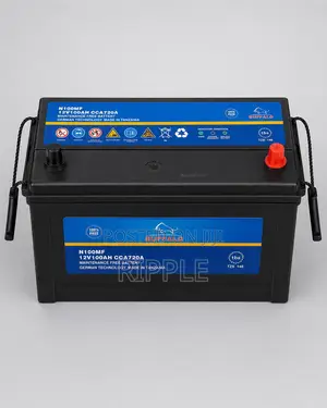 100Ah Buffalo N100 720CCA Maintenance Free Car Battery 12V