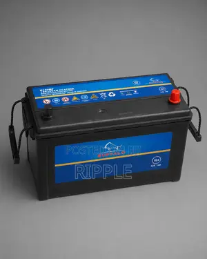 100Ah Buffalo N100 720CCA Maintenance Free Car Battery 12V